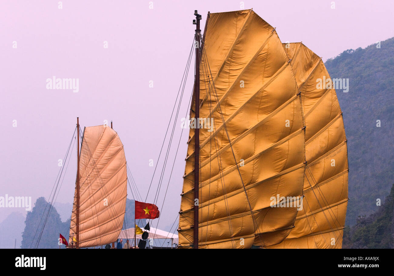 Posta indesiderata e barca isole carsico nella baia di Halong Vietnam Foto Stock