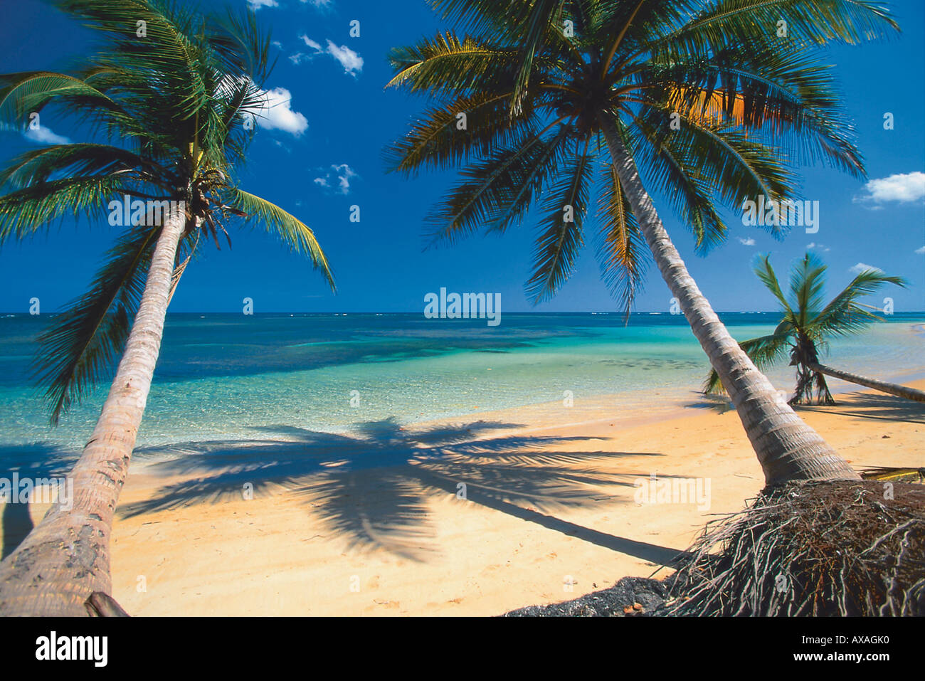 Strand, Dominikanische Republik Karibik Foto Stock