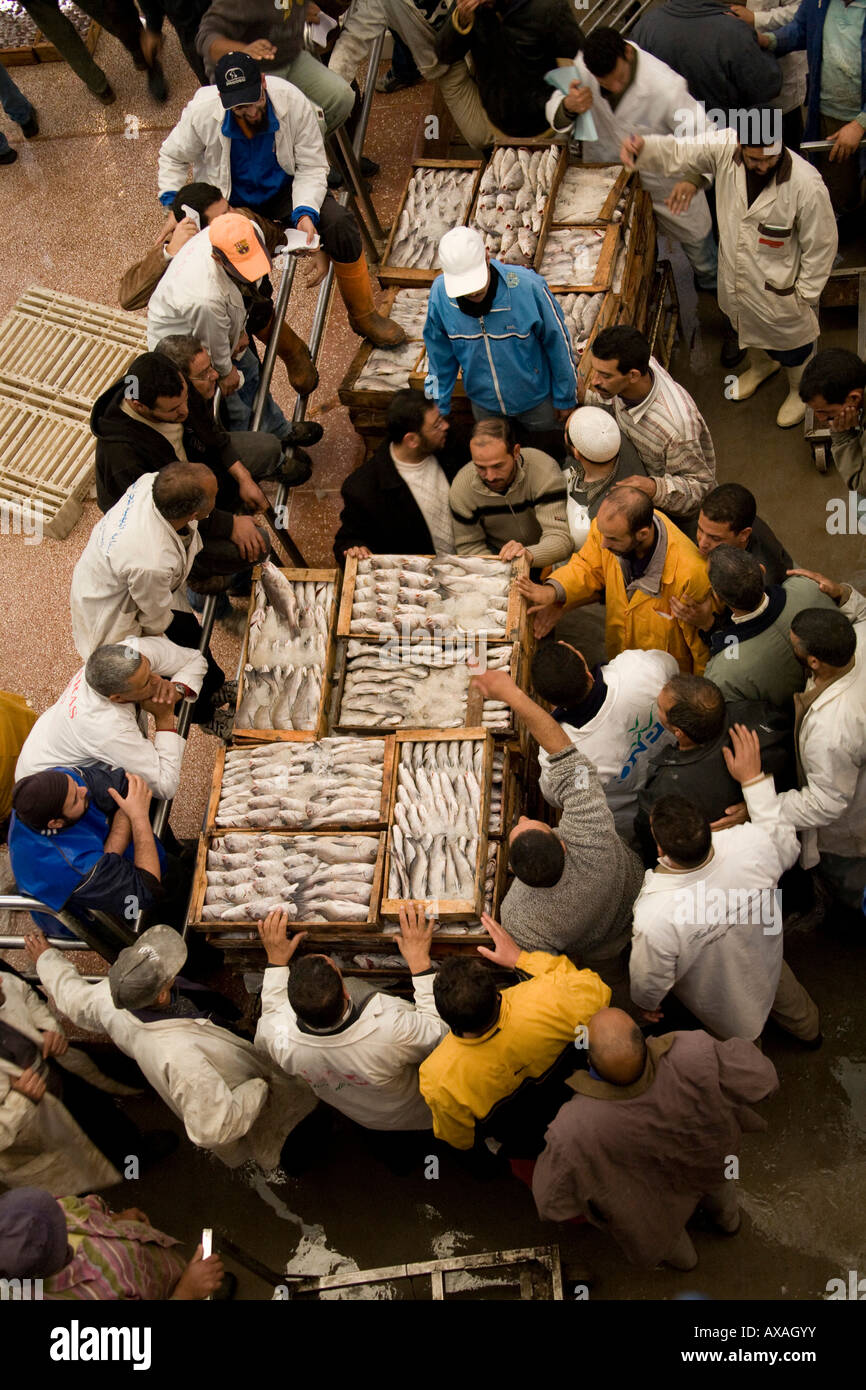 Il sistema delle aste di casse scatole piene di fresco pesce bagnato, nel mercato del pesce Agadir, Marocco, gli operatori di mercato, di acquisto e di vendita sul mercato, Foto Stock