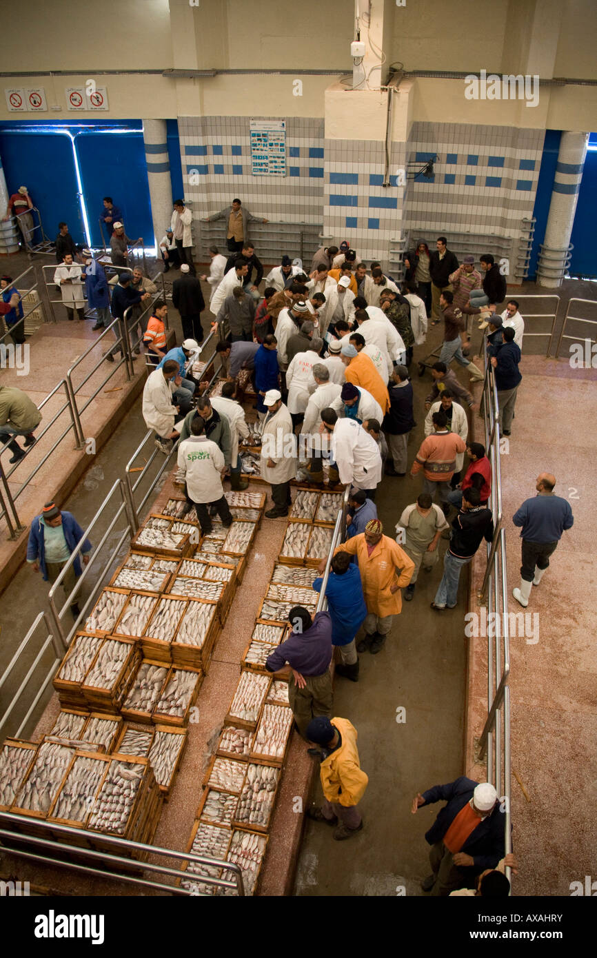 Il sistema delle aste di casse scatole piene di sarde fresche wet il mercato del pesce a Agadir, Marocco, gli operatori di mercato, acquisto e vendita di asta Foto Stock