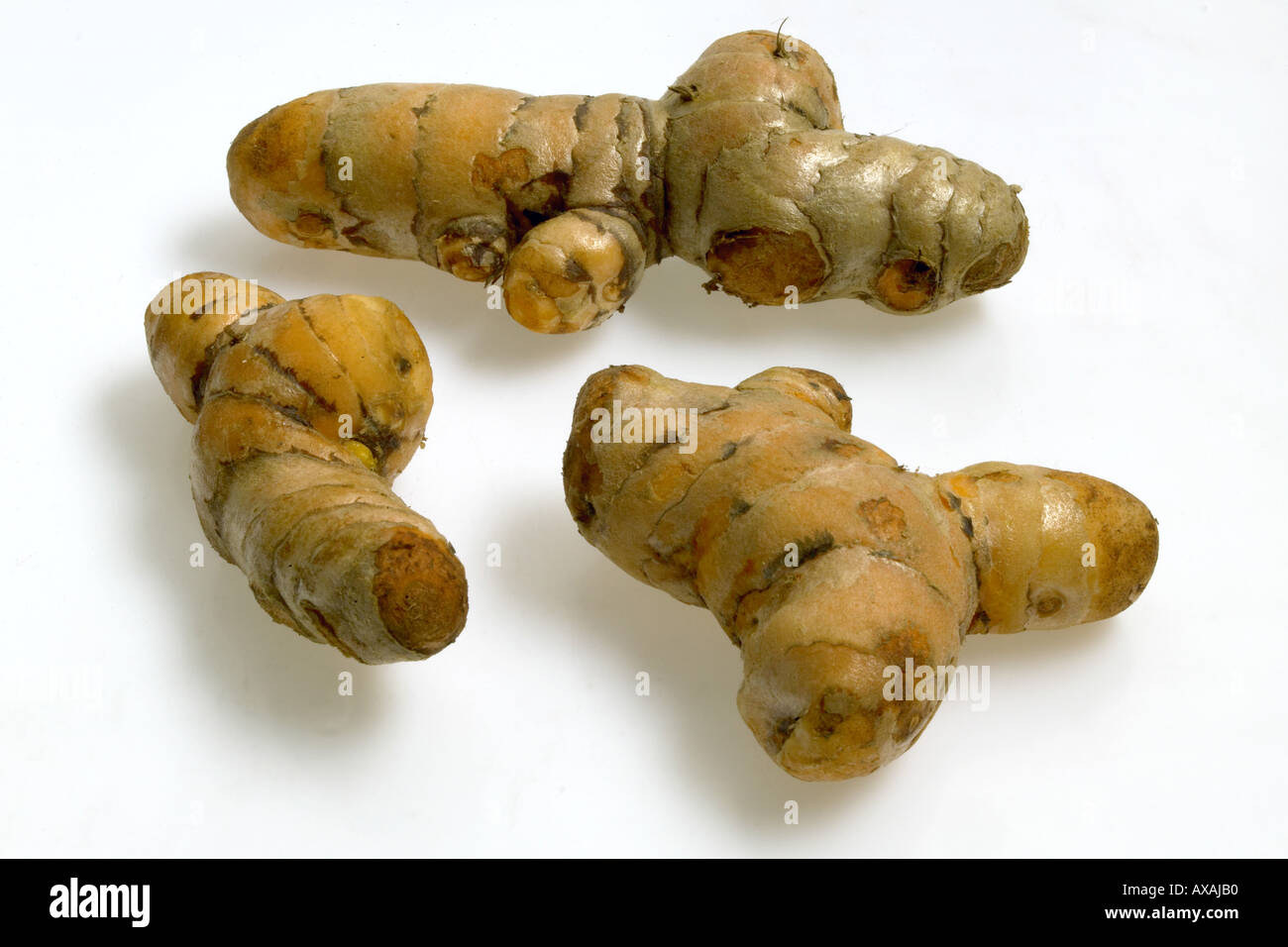 AAD73235 tre pezzi di zenzero fresco spice ayurvedico alle erbe Foto Stock