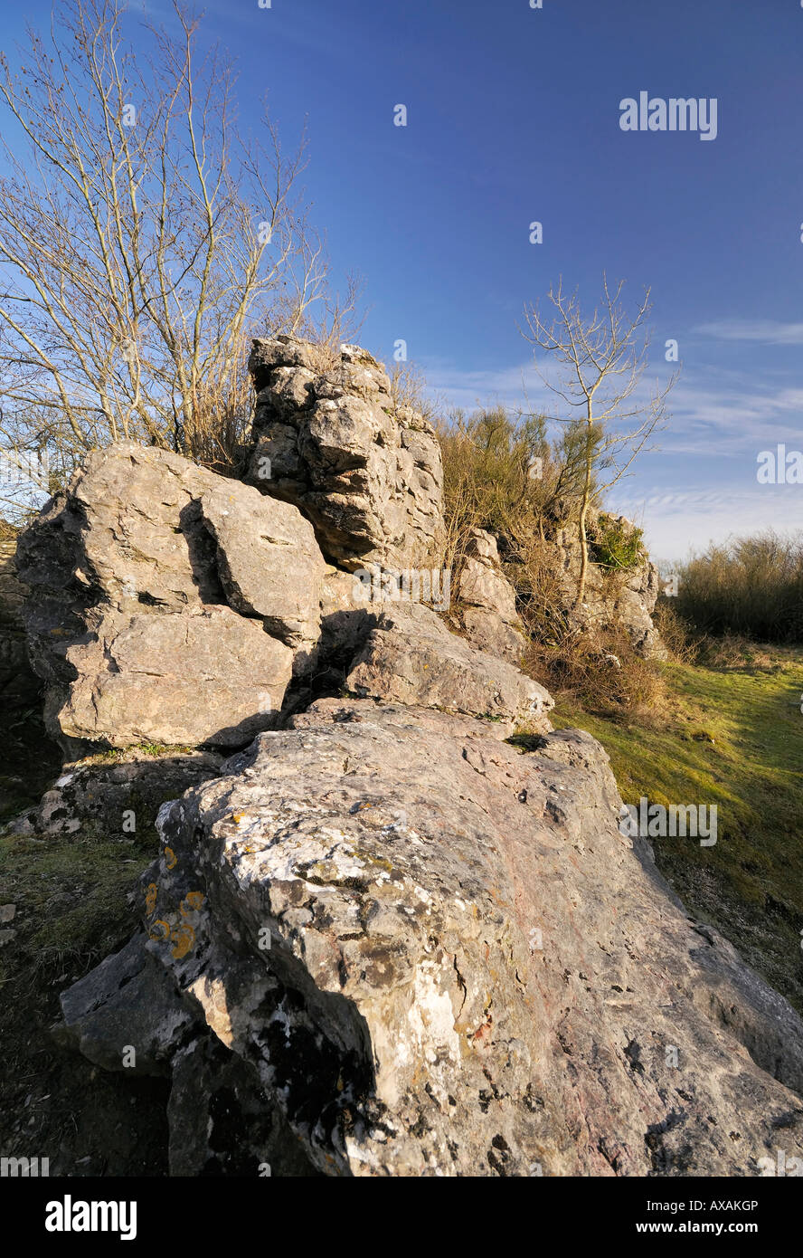 Scogliere calcaree e formazioni rocciose Ubley Warren Blackdown Certosa Mendip Hills Somerset Foto Stock