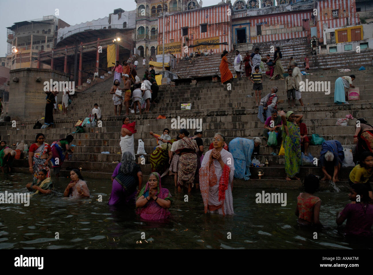 Un gruppo di Indù la balneazione e adorare insieme su Kedar Ghat all'alba sulle rive del fiume santo Ganges Varanasi India Foto Stock