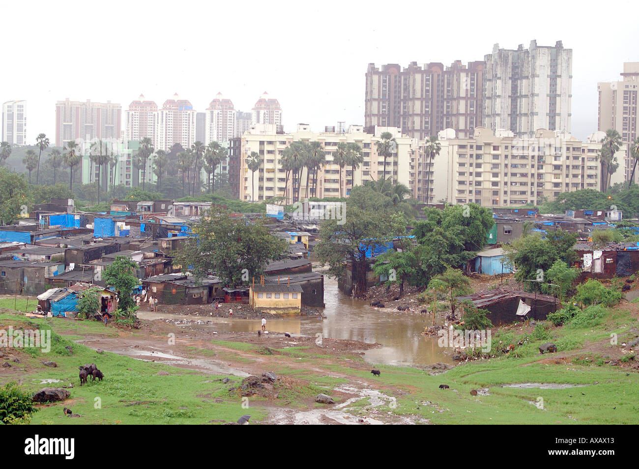 Monsone che mostra il contrasto nelle case di alloggiamento ricca di edifici alti poveri tettoie in PVC blu coperto teloni Bombay Mumbai India Asia Foto Stock