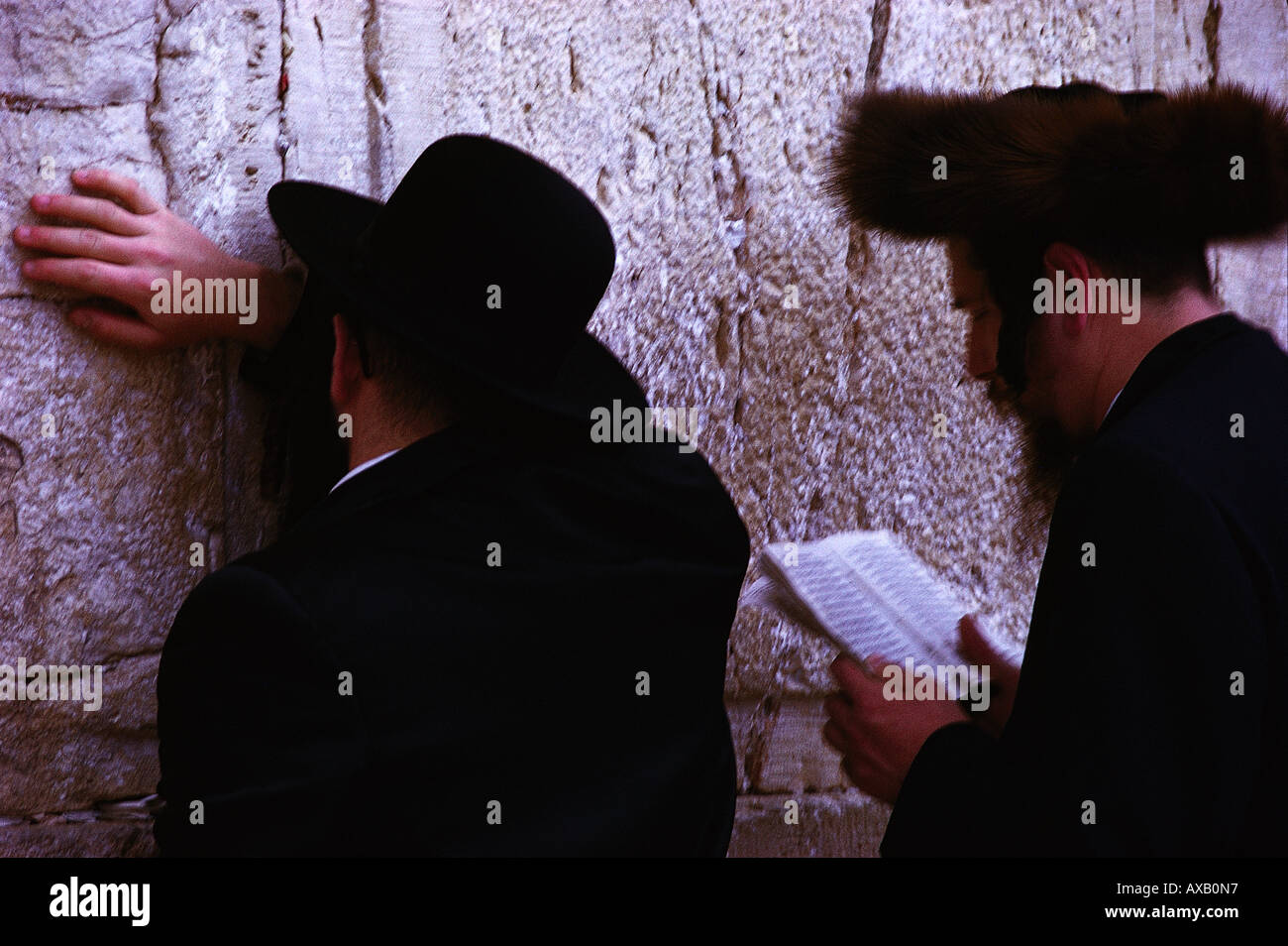 Betende an der Klagemauer, Gerusalemme Israele Foto Stock