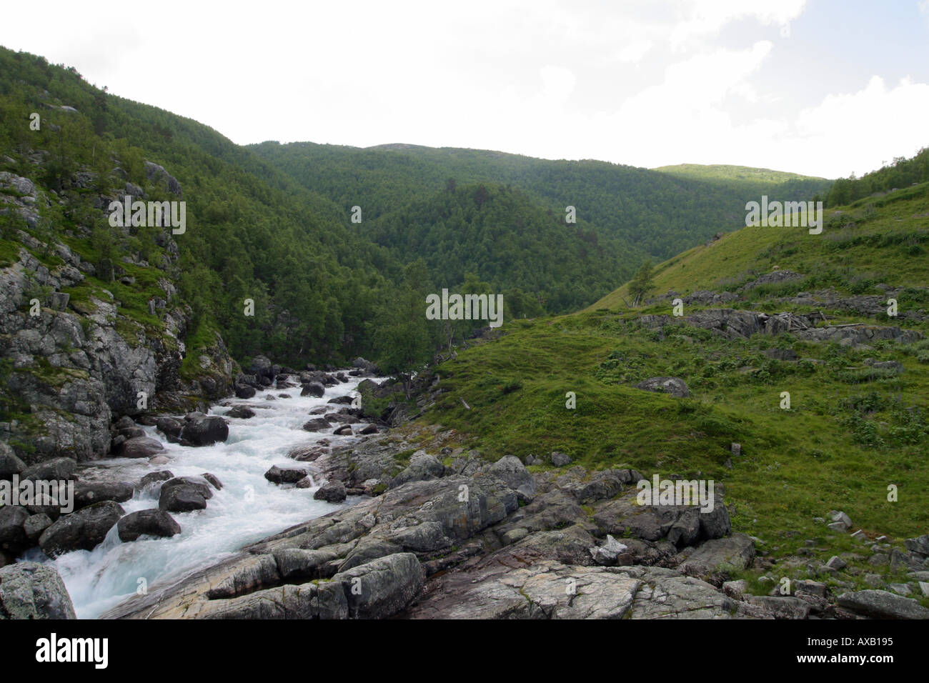 Un paesaggio di montagna con un flusso in esecuzione attraverso di esso Foto Stock