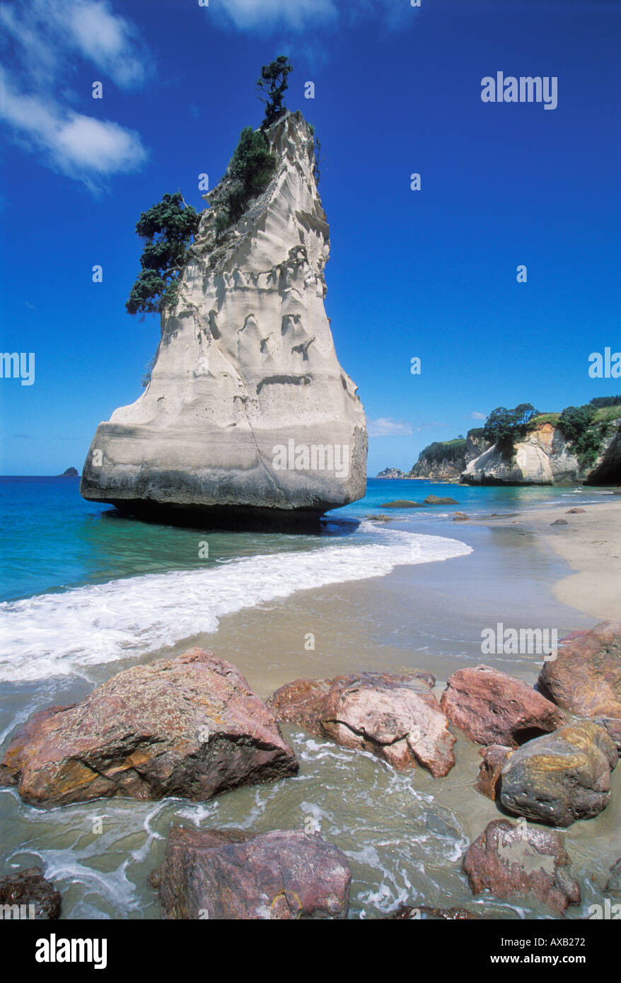 Nuova Zelanda Isola del nord Coromandel Cove della cattedrale rimane di arco di roccia a Cove della cattedrale vicino Hahei Penisola di Coromandel Isola del nord della Nuova Zelanda Foto Stock