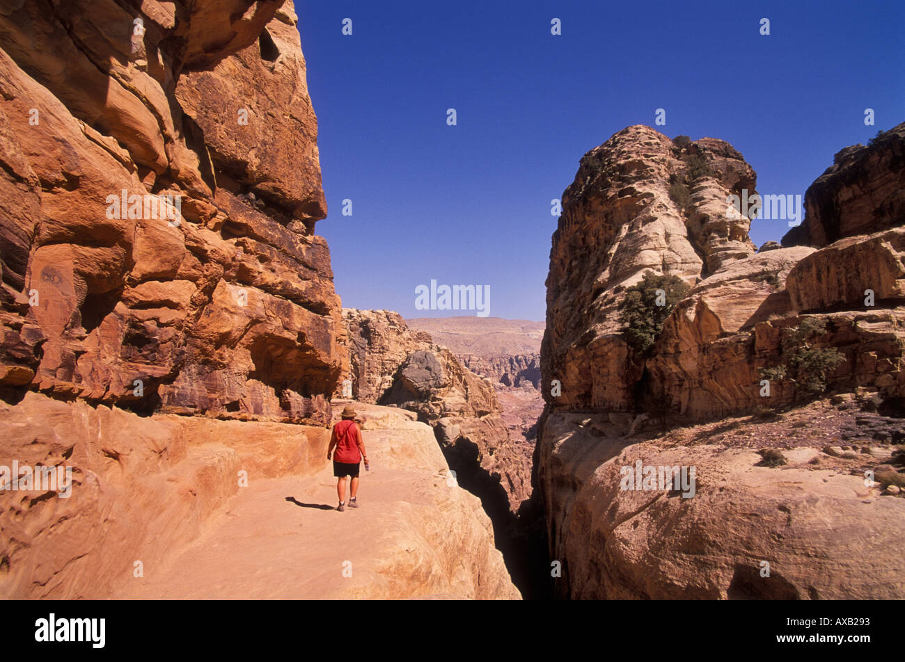Un turista femminile per raggiungere a piedi il luogo alto Petra Giordania Medio Oriente Foto Stock