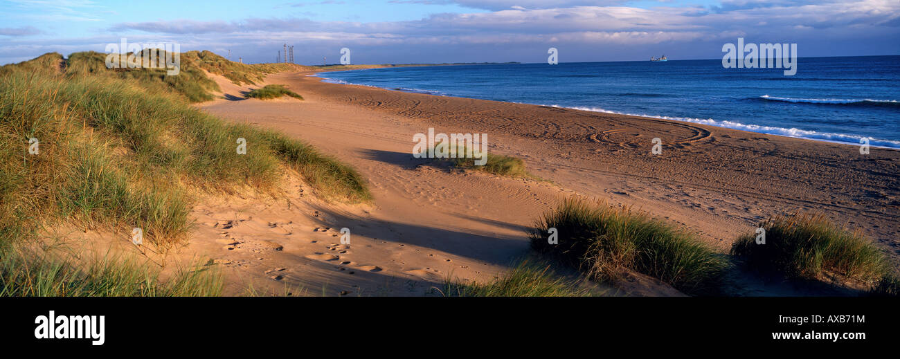 Luce della Sera sulla spiaggia vicino a St Fergus e olio e gas terminale vicino a Peterhead Grampian Aberdeenshire Scotland Regno Unito Foto Stock