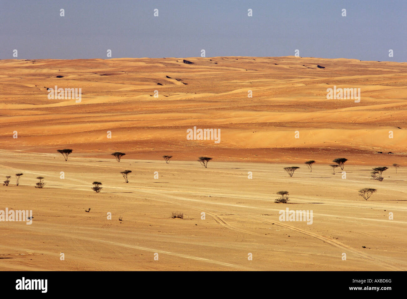 Le dune di Wahiba Sands (Ramlat al Wahaybah) in Oman. Foto Stock
