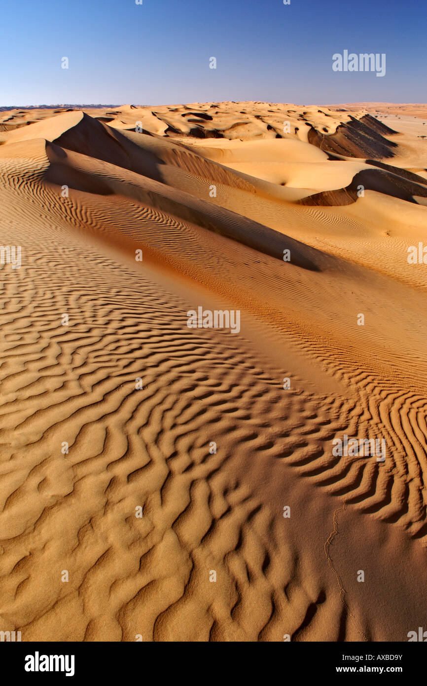 Le dune di Wahiba Sands (Ramlat al Wahaybah) in Oman. Foto Stock