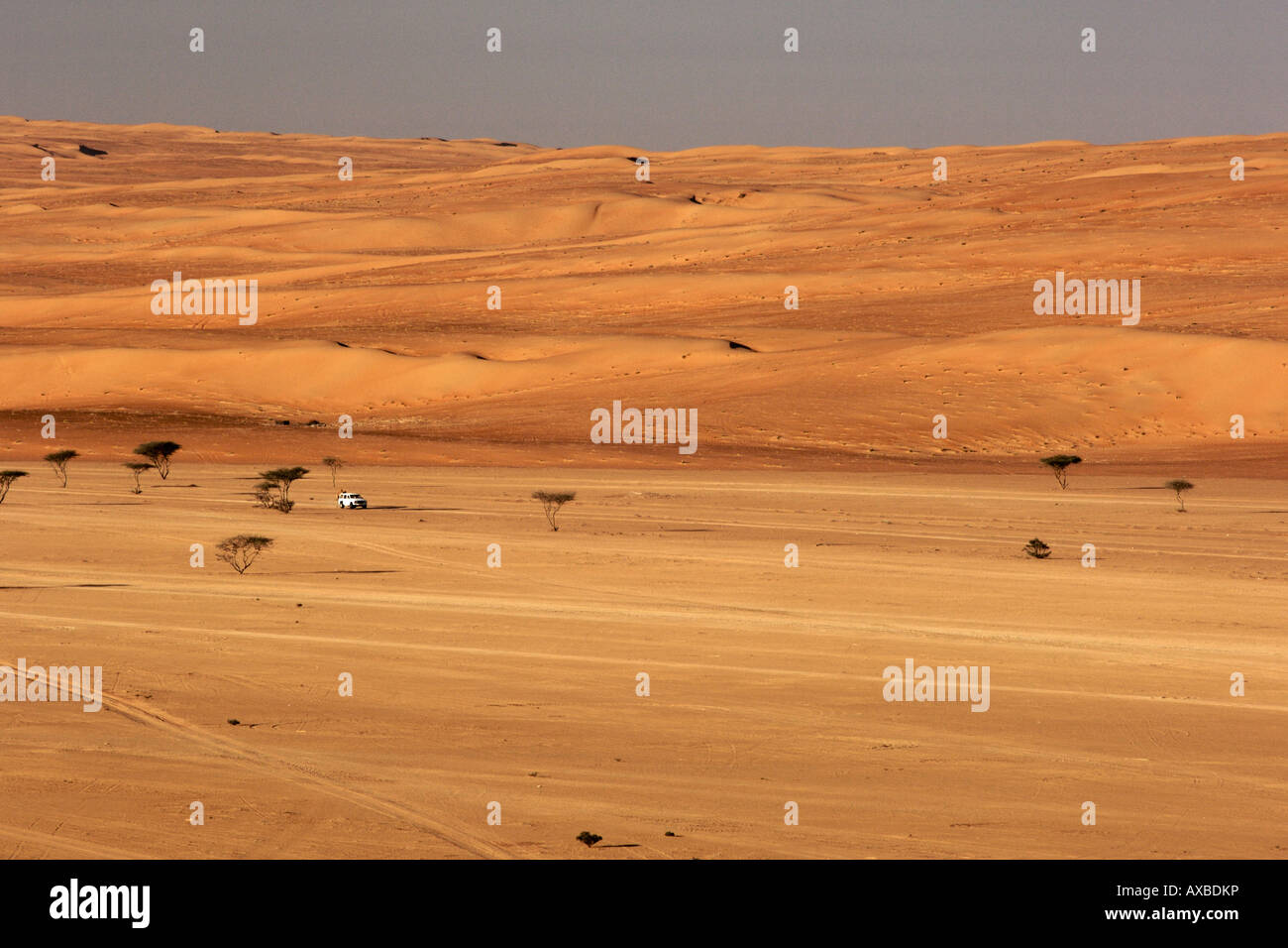 Un 4X4 di guida attraverso la regione del deserto Wahiba Sands (Ramlat al Wahaybah) in Oman. Foto Stock