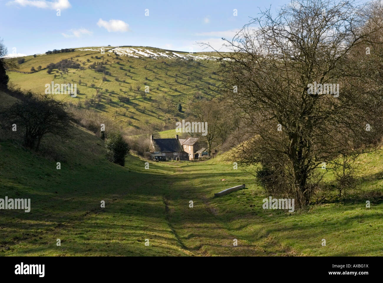 Wettonmill e la valle del collettore, il Parco Nazionale di Peak District, Inghilterra Foto Stock