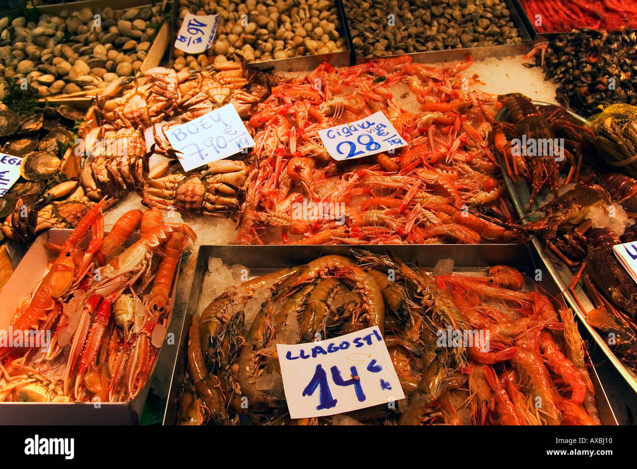 Spagna Barcellona Market Hall Mercat de la Boqueria pesce fresco seefood gamberi Foto Stock