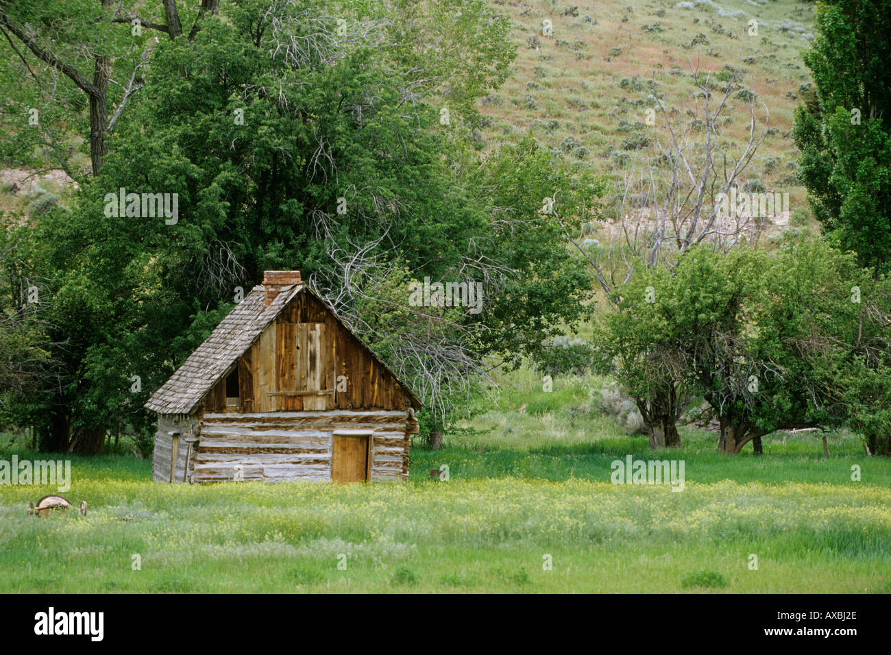 Wild West fuorilegge Butch Cassity la casa dell'infanzia, Circleville, Utah, Stati Uniti d'America Foto Stock