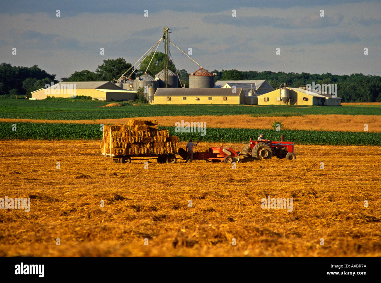 Gli agricoltori imballano paglia dal golden campo di grano nella parte anteriore della struttura di porco vicino a Elizabethtown Lancaster County Pennsylvania, STATI UNITI D'AMERICA Foto Stock