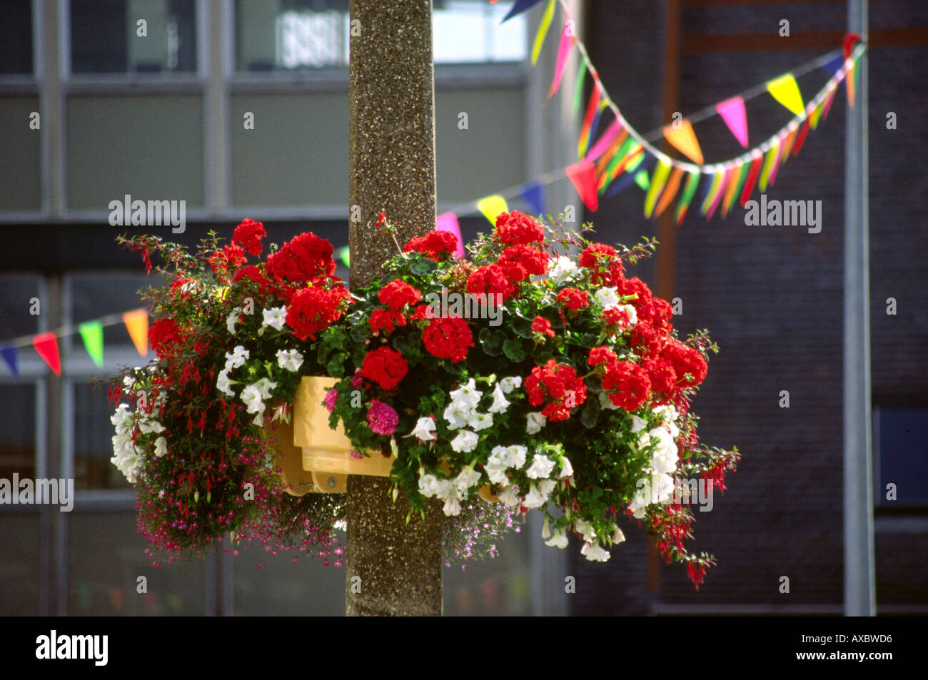 Crewe Cheshire floral display sul montante della lampada Foto Stock
