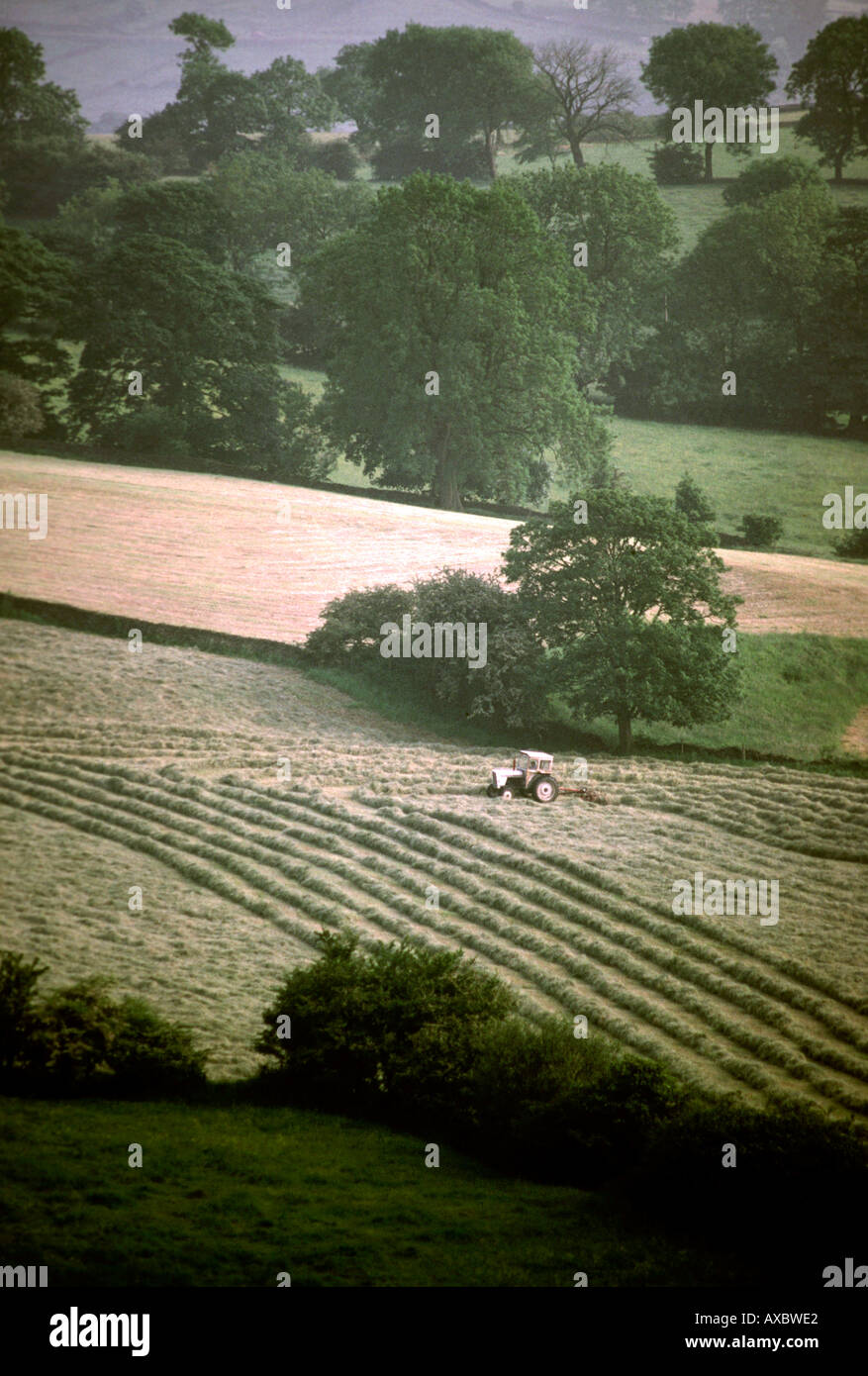 Cheshire Alderley Edge vista in lontananza agricoltore la falciatura di fieno al crepuscolo Foto Stock