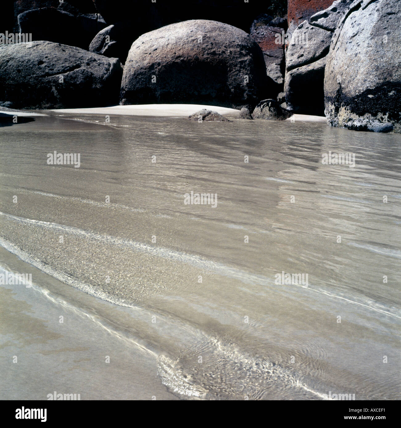 Roccia e sabbia acqua spiaggia stridulo Wilsons Promontory Victoria Australia Foto Stock