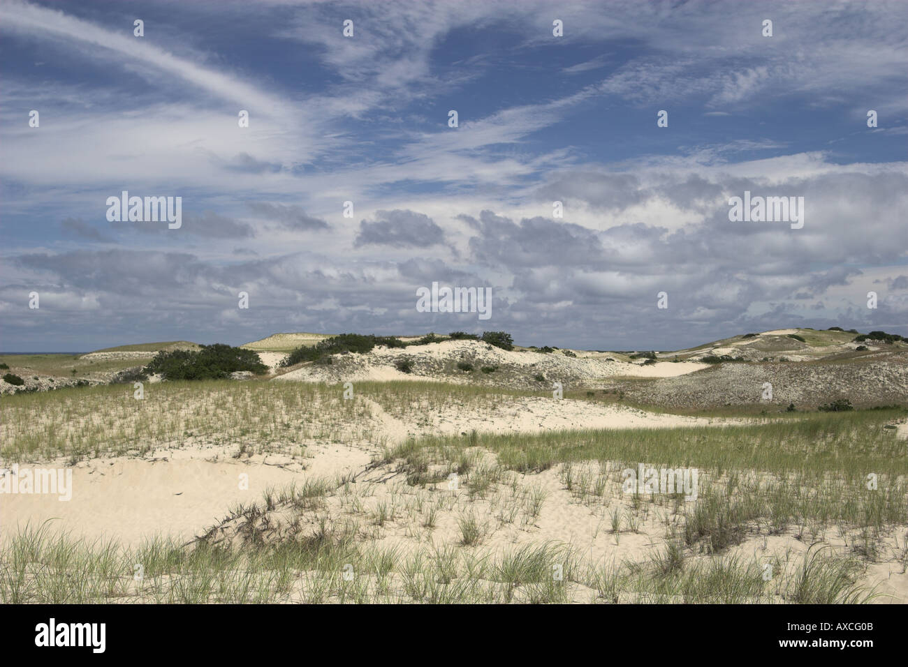 Spiaggia a a Provincetown, Massachusetts, STATI UNITI D'AMERICA Foto Stock