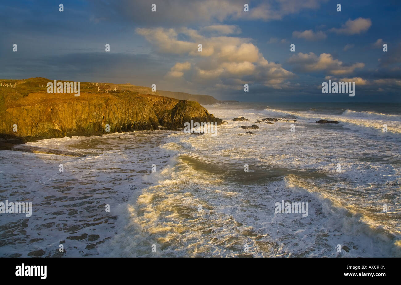 Fase Cove, vicino Bunmahon, il rame Costa, nella contea di Waterford, Irlanda Foto Stock