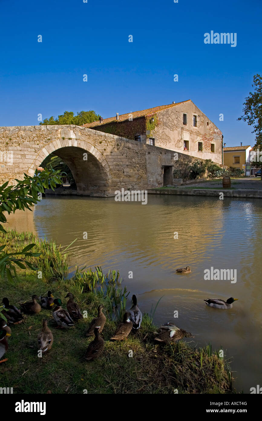 Ponte sul Canal du Midi, Le Somail, Languedoc-Roussillon, Francia Foto Stock