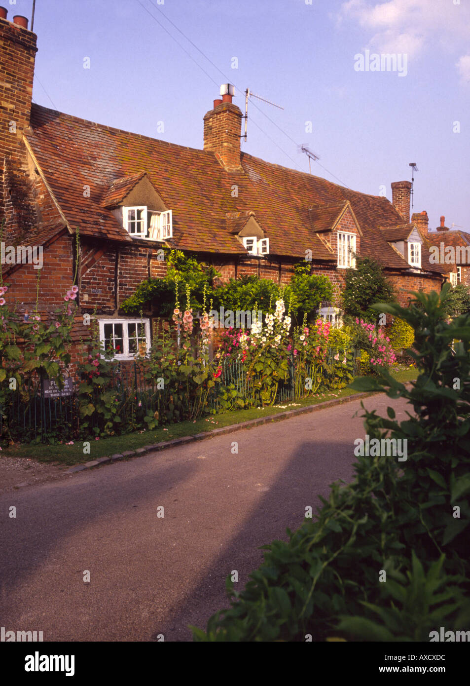 Fiori estivi, abbastanza vecchio cottage, Turville, Buckinghamshire, Chilterns, England, Regno Unito, Europa Foto Stock