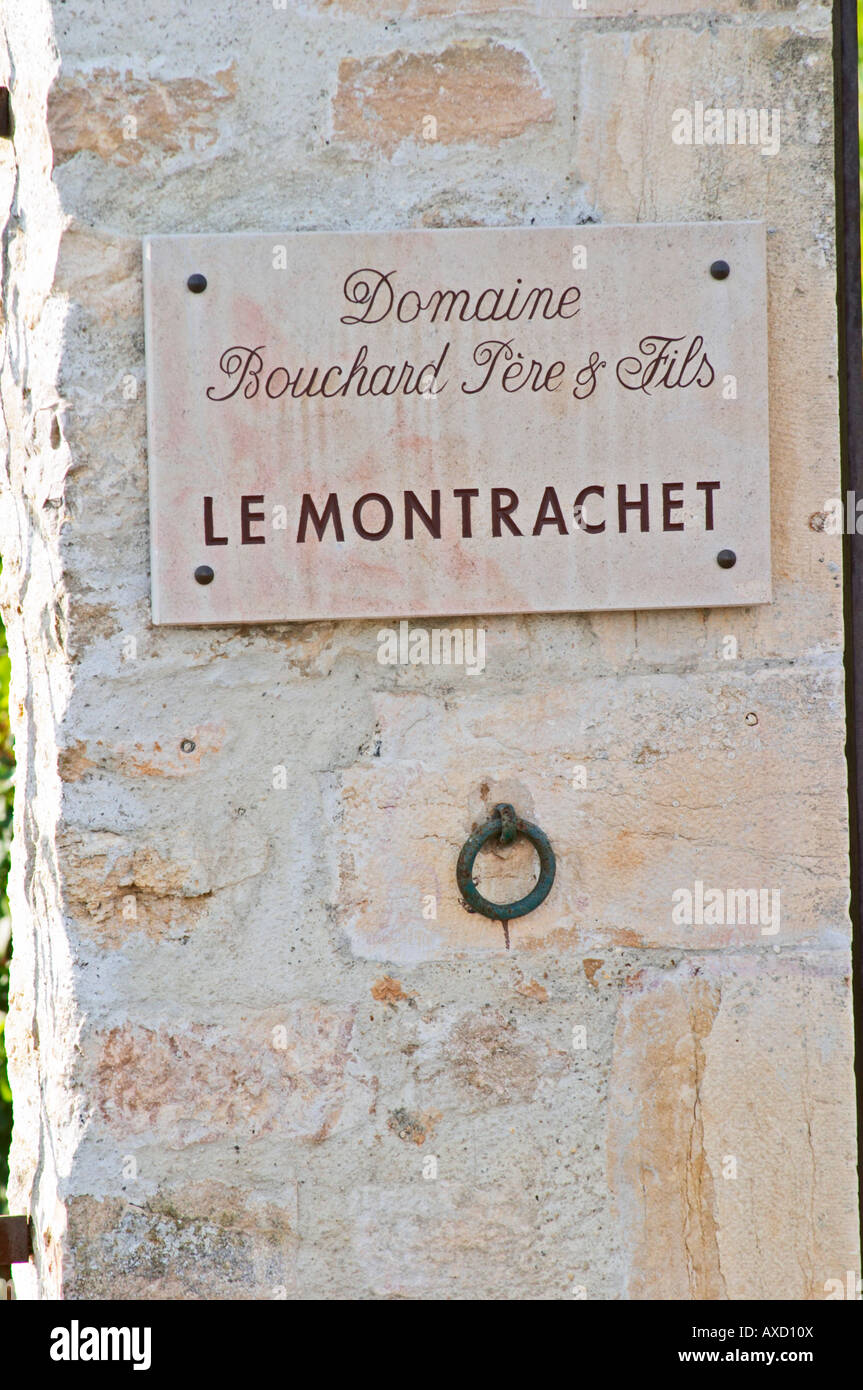 Vigneto. Domaine Bouchard Pere et Fils. 'Le Montrachet' Grand Cru, Puligny Montrachet, Cote de Beaune, d'Or, Borgogna, Francia Foto Stock