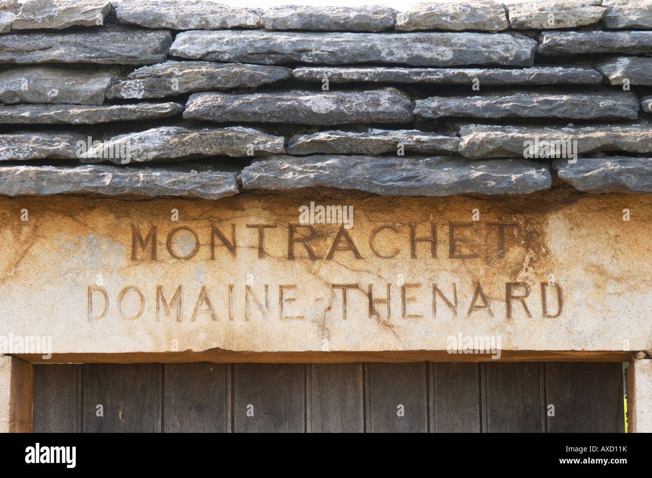 Vigneto. Domaine Thenard. 'Le Montrachet' Grand Cru, Puligny Montrachet, Cote de Beaune, d'Or, Borgogna, Francia Foto Stock