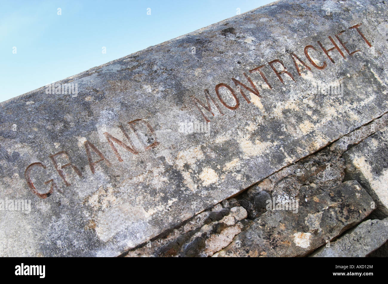 Vigneto. Grand Montrachet. 'Le Montrachet' Grand Cru, Puligny Montrachet, Cote de Beaune, d'Or, Borgogna, Francia Foto Stock