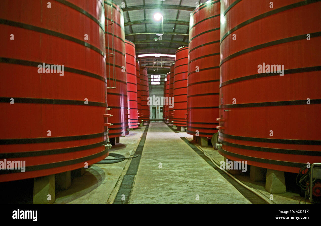 Tini di fermentazione in cantina Mioranza, Forels da Cunha, Brasile Foto Stock