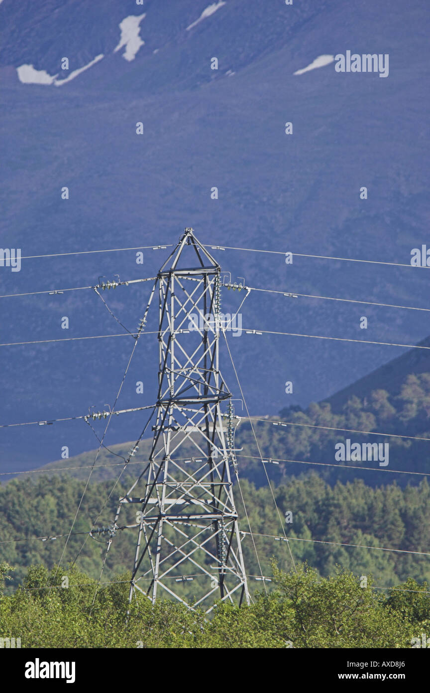 Pilone di elettricità nella foresta Rothiemurchus, Cairngorms National Park. Foto Stock