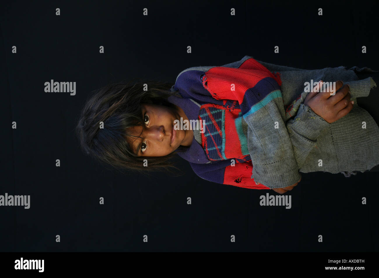 Due milioni di gitani che vivono in Bulgaria che è 10 della popolazione zingari o rom sono discriminati da native bulgari Foto Stock