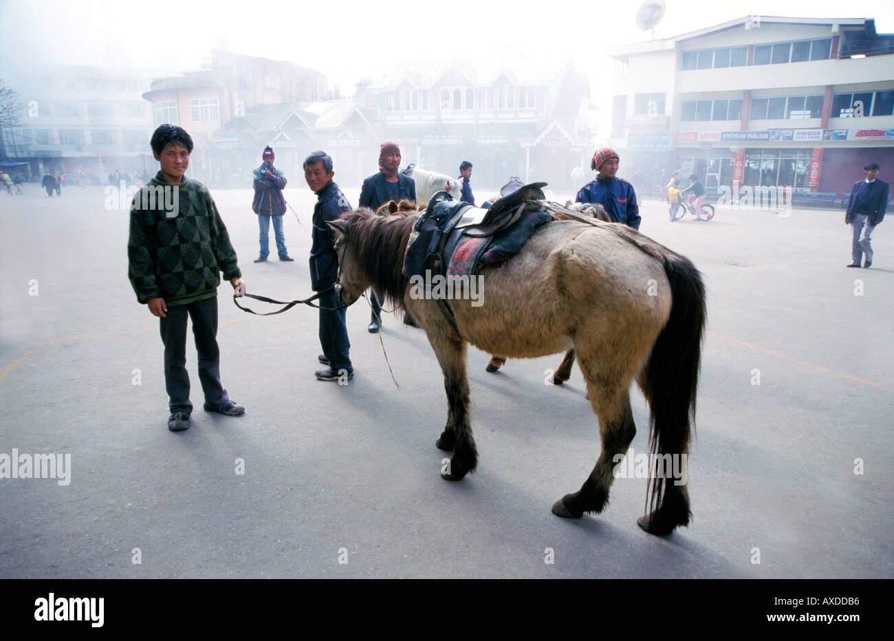 Lo sherpa del Nepal guide con pony in piedi pronti per l'avventura trekking nella nebbia mattutina. Piazza del Mercato, Chowrasta Darjeeling in India. Foto Stock