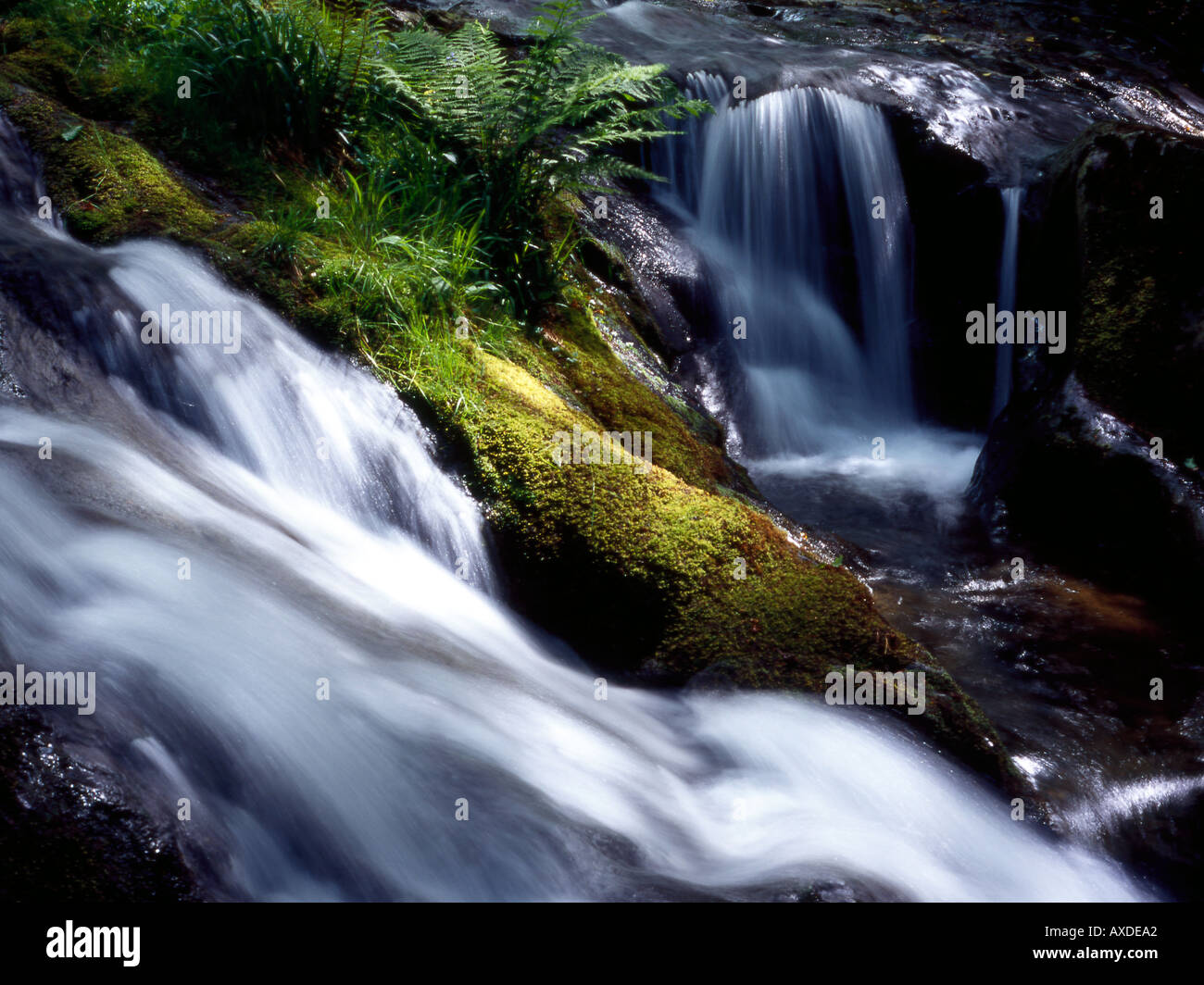 Cascata del Nant Gwernol burrone Gwynedd Foto Stock