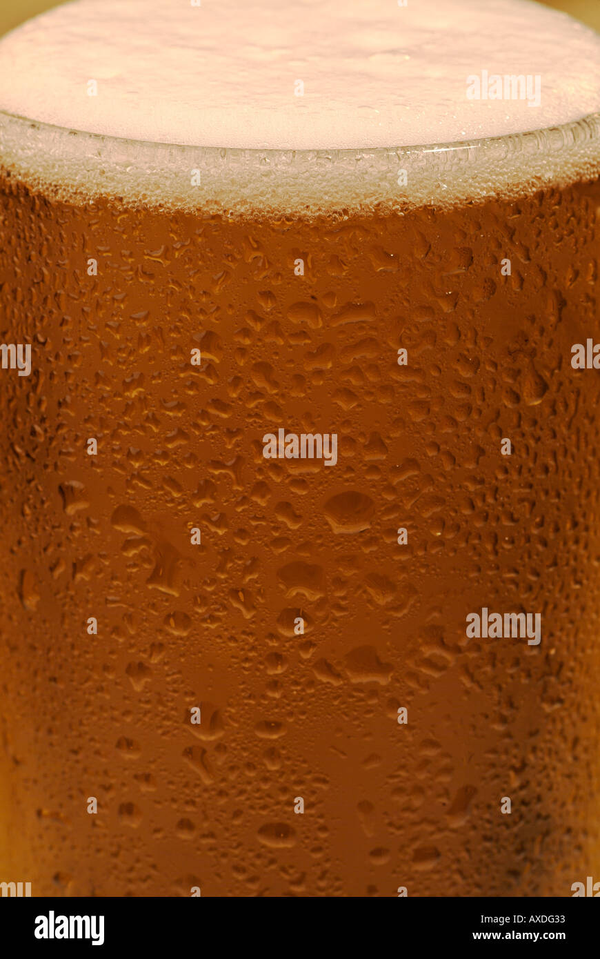 Vetro freddo di birra, vicino. Foto Stock