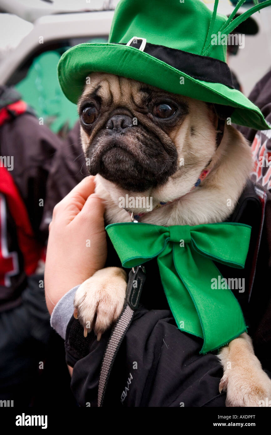 Il giorno di San Patrizio parata del Marzo 16, 2008 a Montreal, Quebec, Canada. Foto Stock