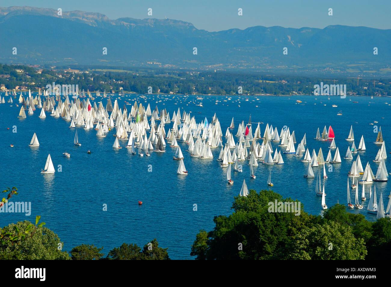 Linea di partenza di una barca a vela gara, Lac Leman svizzera Foto Stock