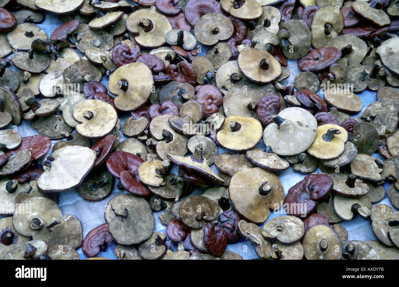 Mercato Qingping 1 Cn Foto Stock