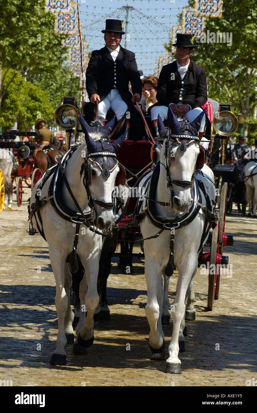 Feria de Abril , imbrigliato team con pullman , Siviglia , Andalusia , Spagna , in Europa Foto Stock