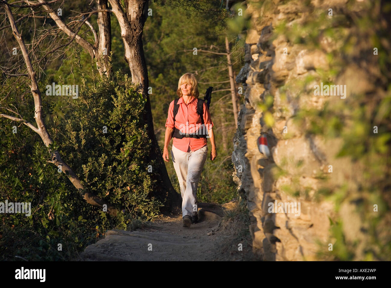 L'Italia, Liguria, Monterosso al Mare, Donna escursionismo Foto Stock