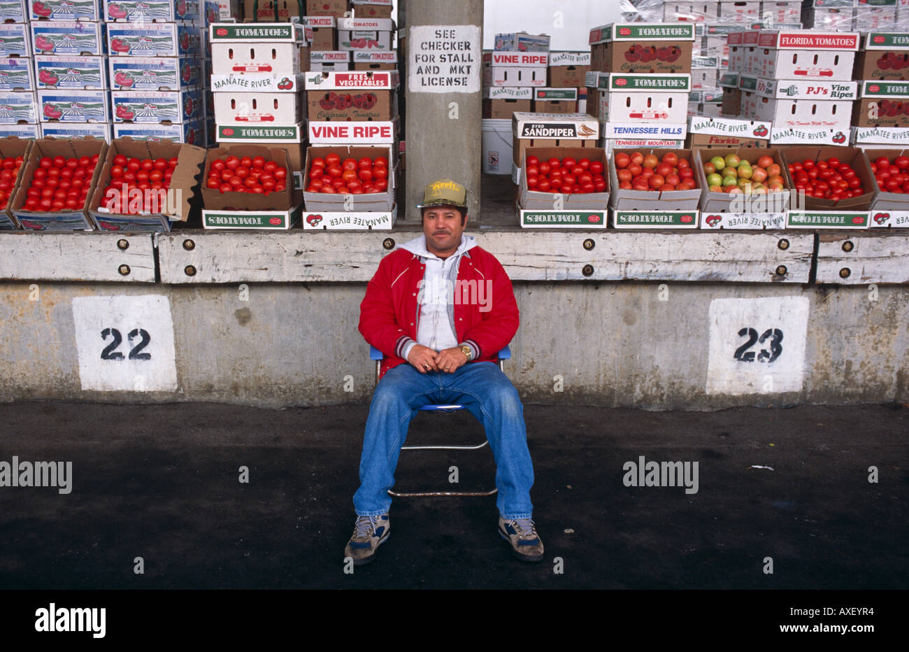 Stallholder siede davanti al suo pomodori ad Atlanta Membro dell'agricoltore, Mercato di Atlanta in Georgia negli Stati Uniti Foto Stock