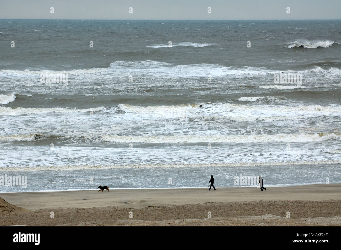 Due persone passeggiate con il cane sulla spiaggia di gale force venti. Foto Stock