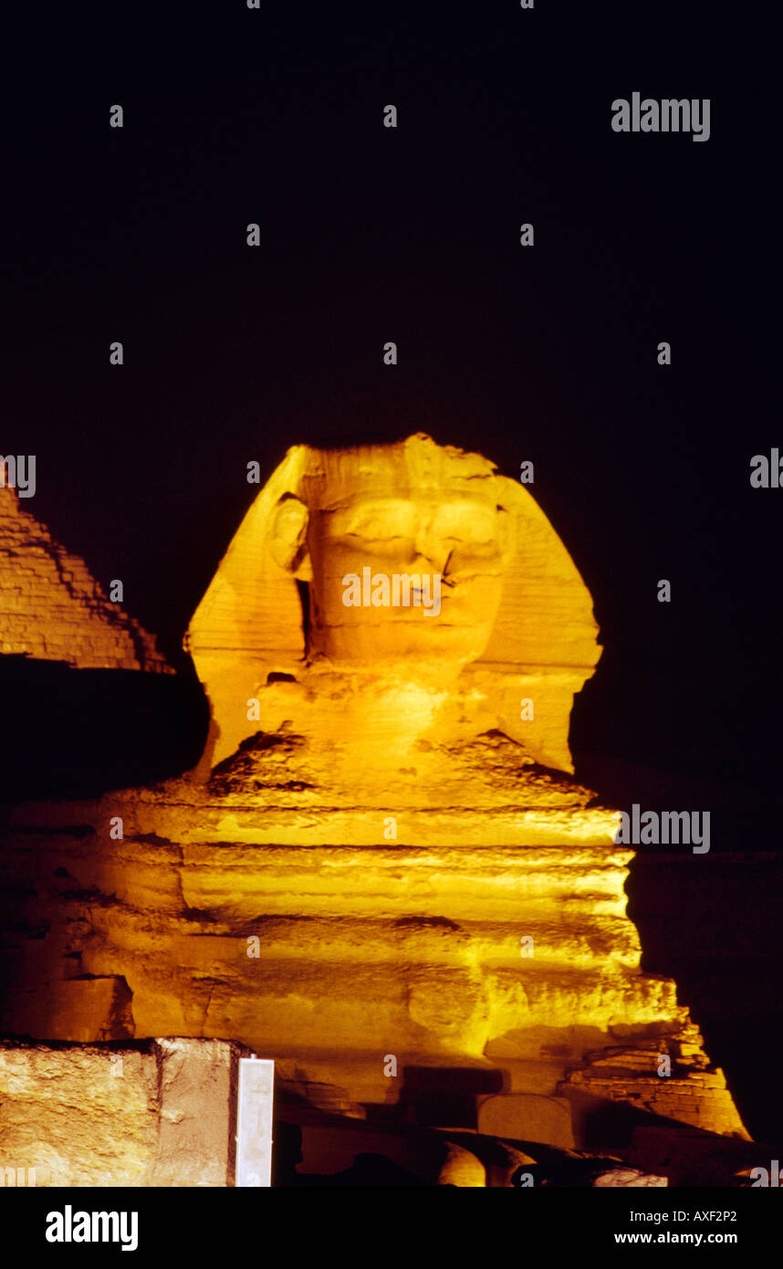 Giza Egitto la Grande Sfinge di Giza alla notte Son et Lumiere Foto Stock