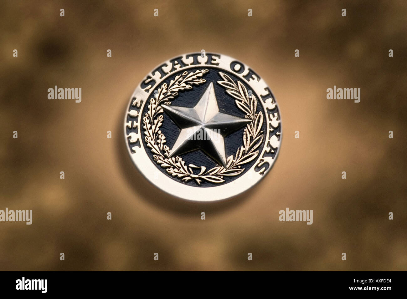 Stato del Texas medaglione Foto Stock