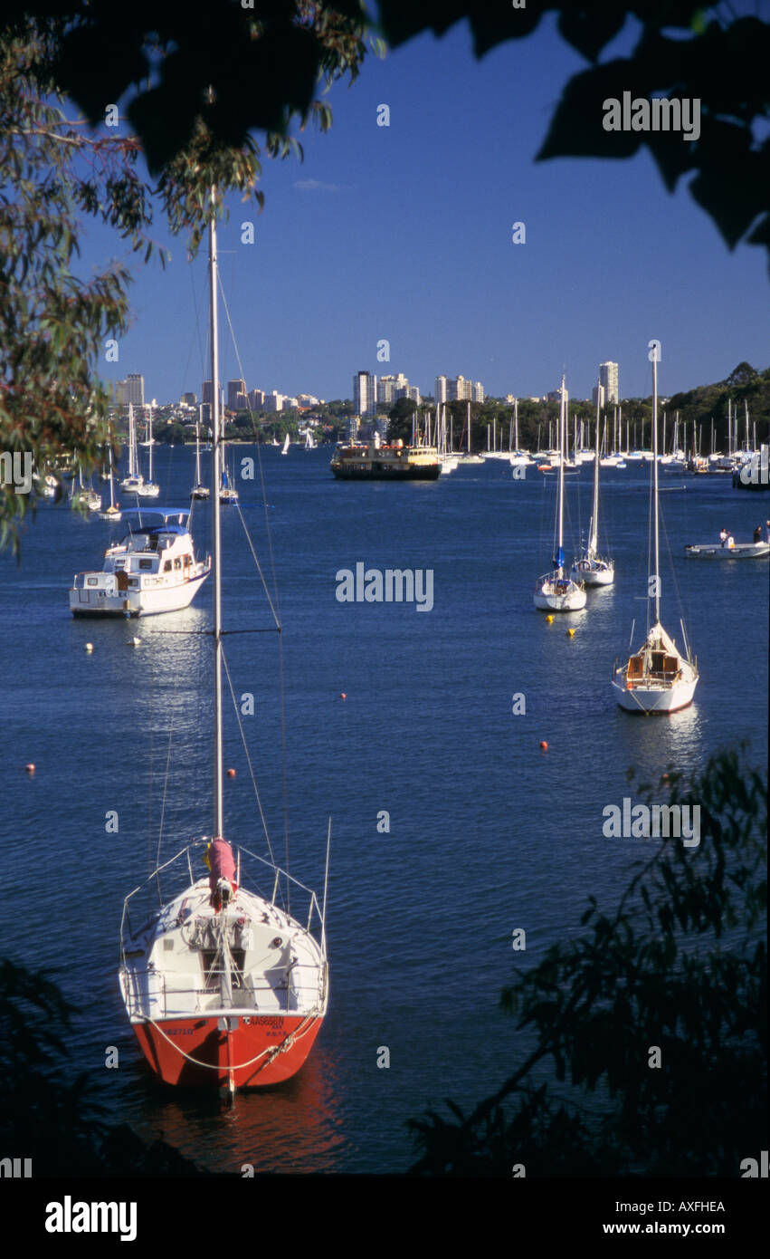 Imbarcazioni all'ancora guardando verso il Darling Point e Double Bay Mosman Bay Sydney New South Wales AUSTRALIA verticale Foto Stock