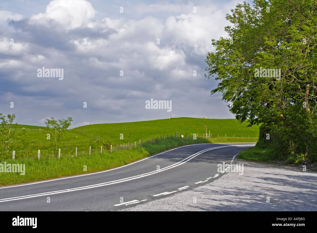 Curva strada rurale in Galles centrale colline Foto Stock