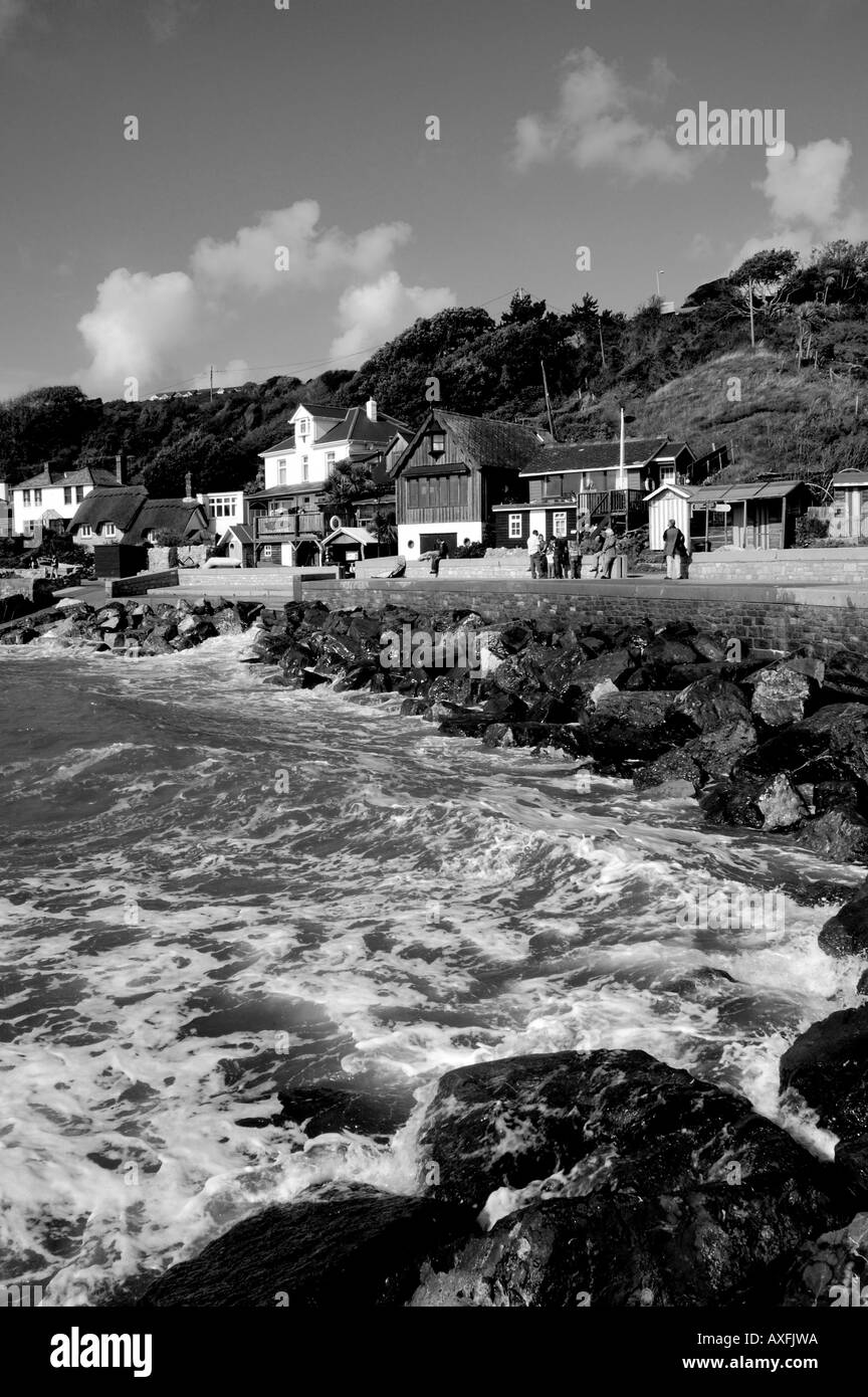 Paesaggio bianco e nero, Seaside Steephill Cove, Ventnor, Isle of Wight, Inghilterra, Regno Unito, GB. Foto Stock Paesaggio bianco e nero, Seaside Steephill Cove, Ventnor, Isle of Wight, Inghilterra, Regno Unito, GB. Foto Stock