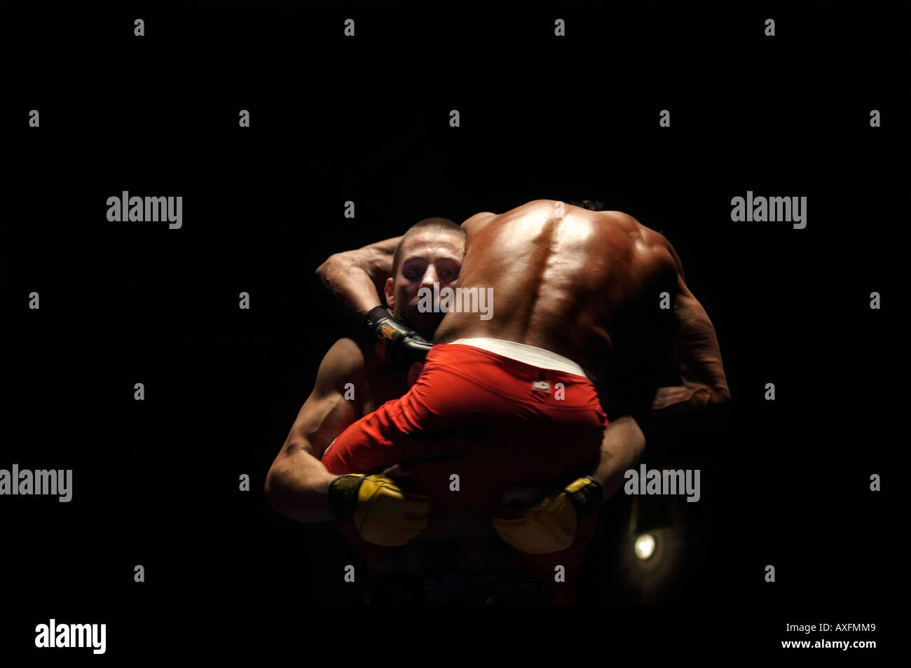 Ultimate Fighting è un misto di arti marziali stile di combattimento. Foto Stock