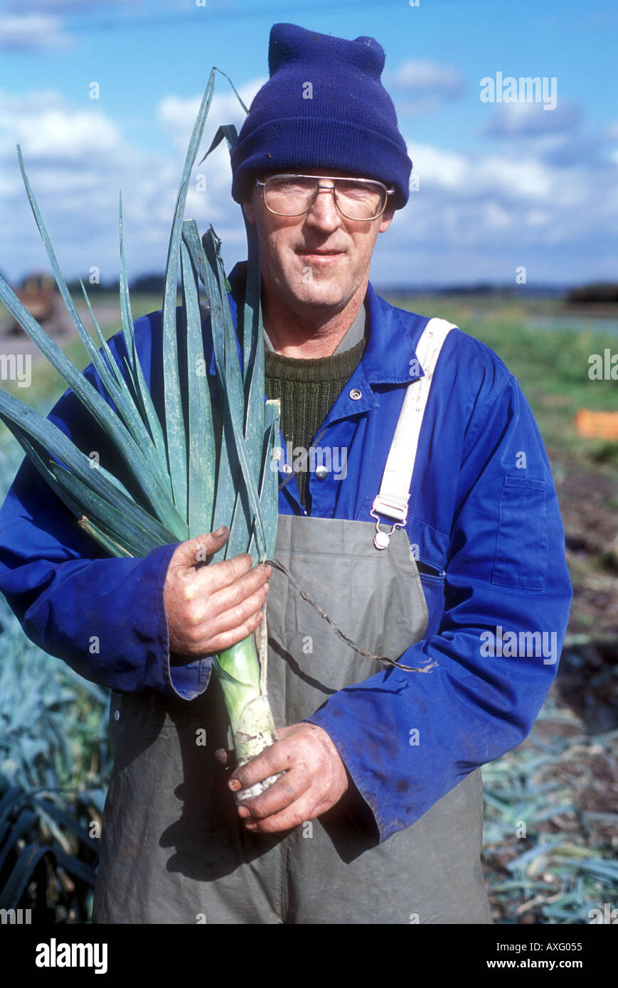 Uomo con grandi porro chiudere l'uomo tenere grandi porri vicino al suo petto giardiniere del mercato Lincolnshire UK Foto Stock